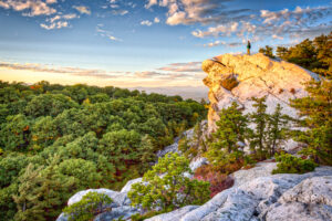 Not for other use - Only Gold Standard