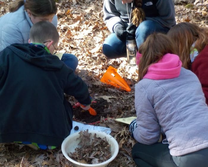 Group of kids digging up leaves
