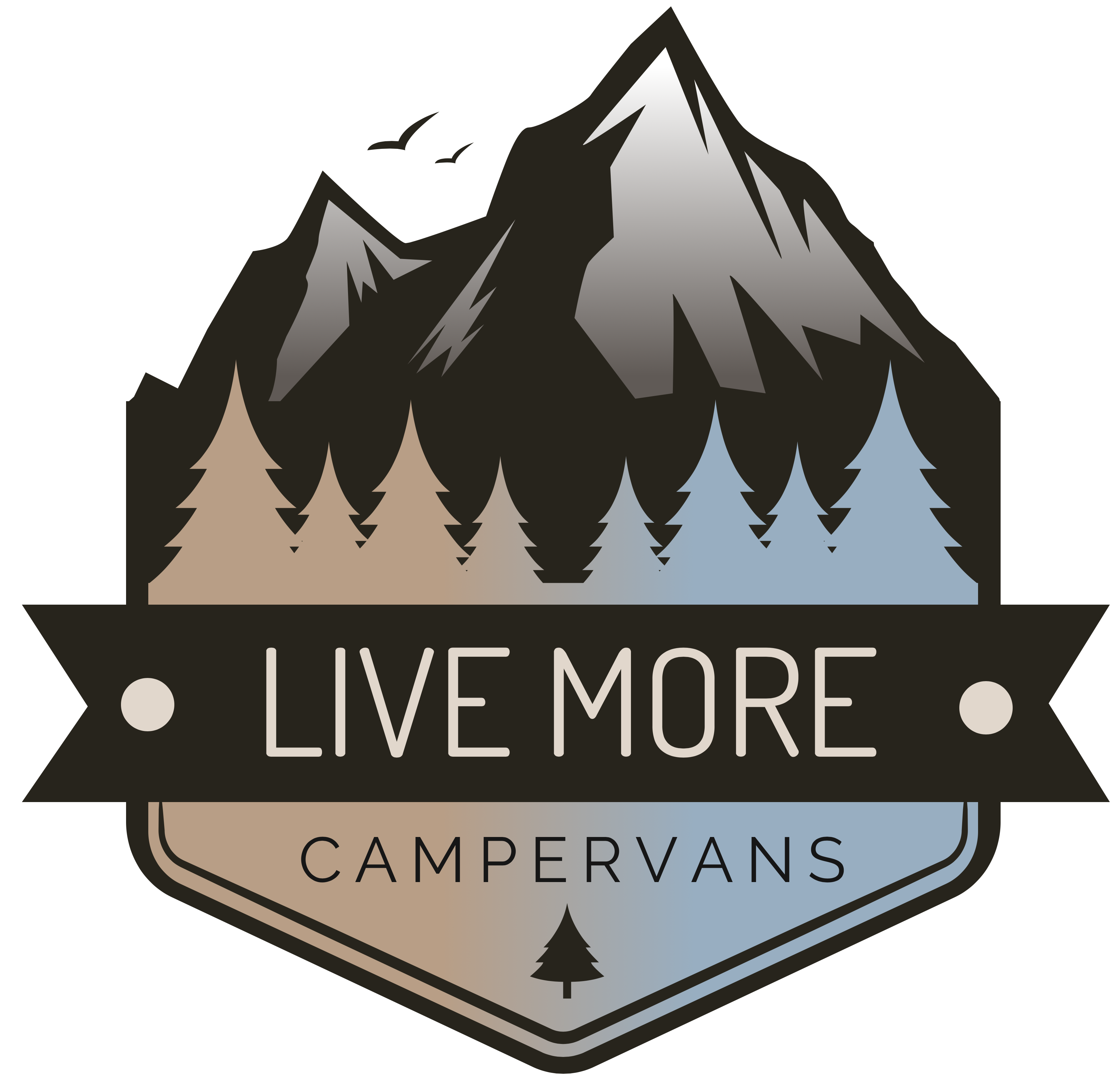 Live More Campervans
